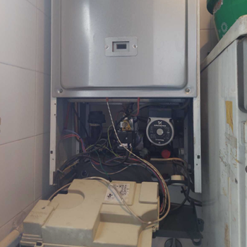 baxi-3